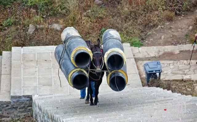 杭州马帮运输